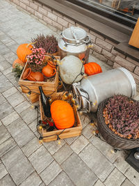 Pumpkin, clay jugs lie with straw in wooden boxes, next to iron cans, and a basket of lavender