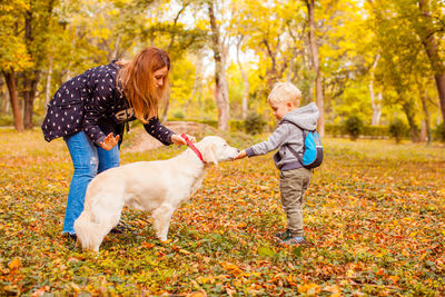 Rear view of woman with dog in park during autumn