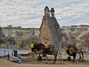 Rear view of woman sitting on landscape against sky