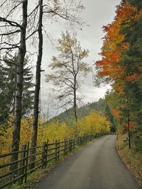 Road amidst trees in forest during autumn