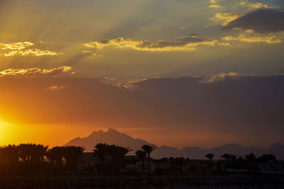 Golden sunset over the beach with palm trees. sun's rays break through clouds. 