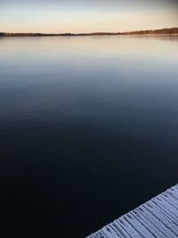 Reflection of trees in water