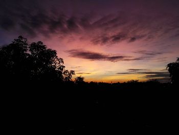 Silhouette of trees at sunset