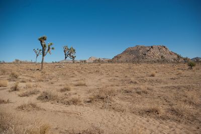 Scenic view of desert against clear blue sky