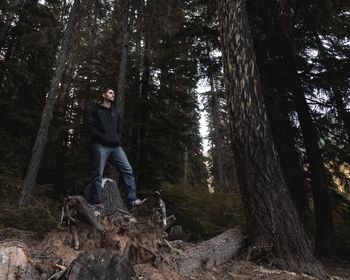 Low angle view of man standing on tree stump in forest