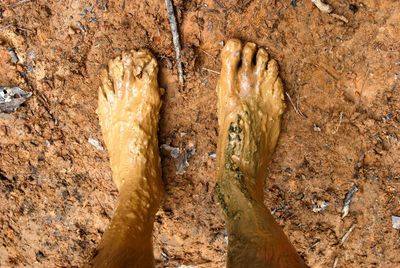 Low section of person with muddy legs standing on land