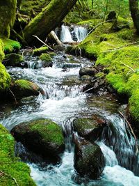 River flowing through rocks