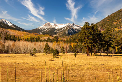 Lockett meadow and san francisco peaks in flagstaff, arizona.