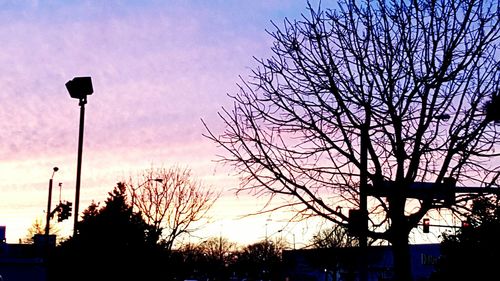 Low angle view of silhouette bare trees against sky at dusk