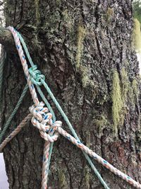 Close-up of rope tied on rock