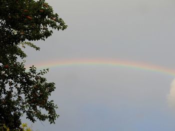 rainbow