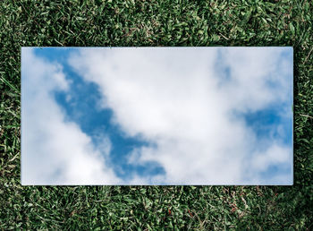 Close-up of grass on field against sky