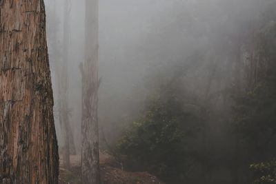 Scenic view of lake against sky during foggy weather