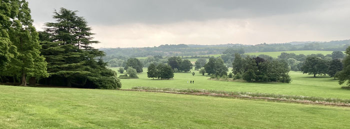 Trees on field against sky