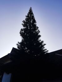 Low angle view of silhouette tree against clear sky