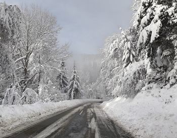 Road amidst trees against sky