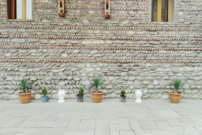 View of plants outside wall