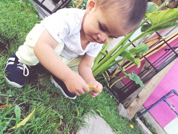High angle view of boy holding plants