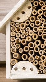 Honey bee depositing honey in honeycomb cell