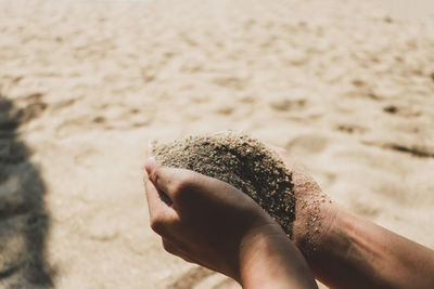 Midsection of person holding sand on beach