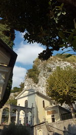 Low angle view of trees and buildings in town