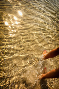 Low section of person on sand at beach