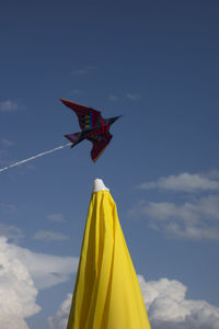 Kite flying as a summer leisure activity in windy weather conditions