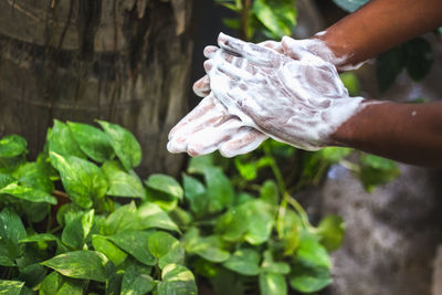 Close-up of hand holding leaf