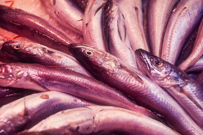 Full frame shot of fish for sale in market