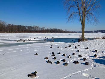 winter