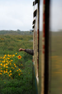 Person on field seen through metal fence