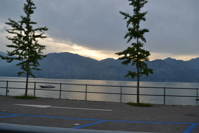 Trees by road against sky