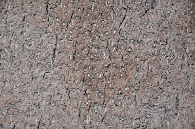 Full frame shot of white surface