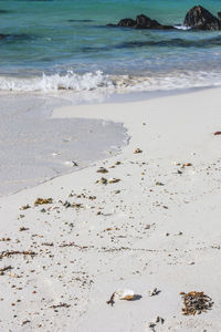 Scenic view of beach