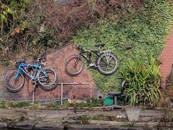 Bicycle against plants