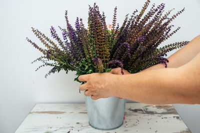 Close-up of hand holding purple flowering plant