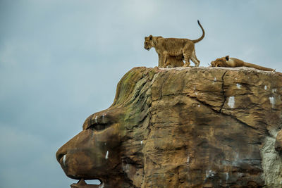 Low angle view of a statue