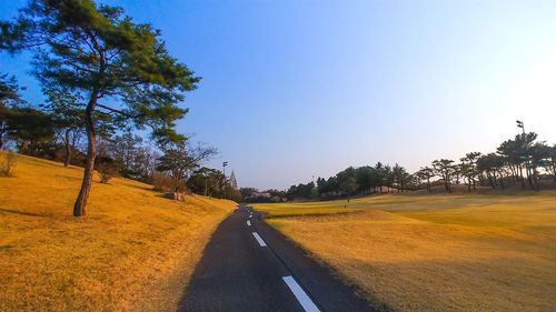 Road amidst trees against sky