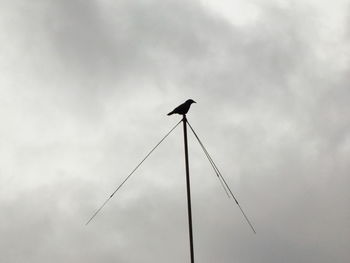 Low angle view of wind turbine against sky