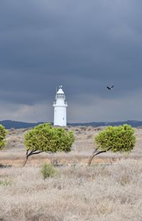 Bird flying over lighthouse by sea against sky