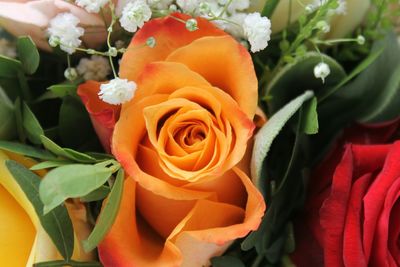 Close-up of rose bouquet
