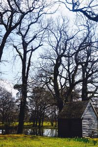 Bare trees against sky