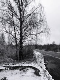 Bare tree by road against sky during winter