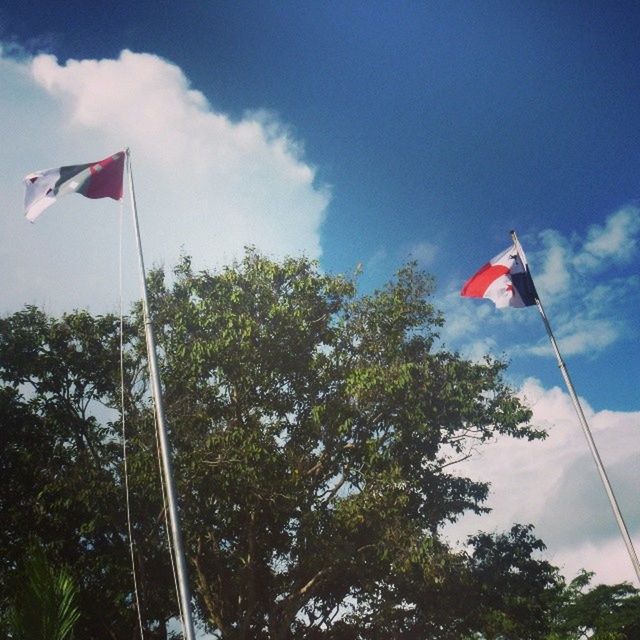 flag, patriotism, national flag, identity, low angle view, american flag, sky, wind, tree, culture, pole, blue, cloud, cloud - sky, striped, day, flag pole, waving, red, pride