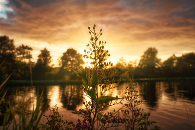 Scenic view of lake against sky during sunset