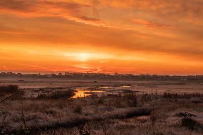 Scenic view of field against sky during sunset