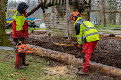 Rear view of people working. young loggers cutting tree trunk with chain saws in rainy day.