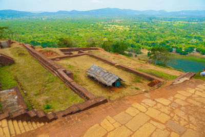 High angle view of agricultural field