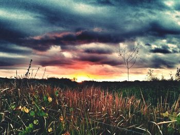 Scenic view of field against cloudy sky