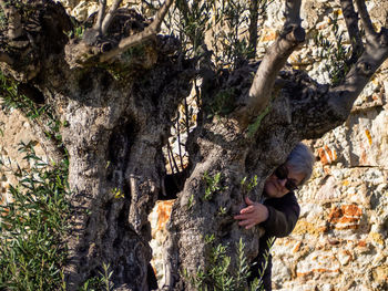 Senior woman hugging tree